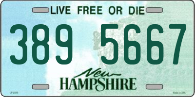 NH license plate 3895667