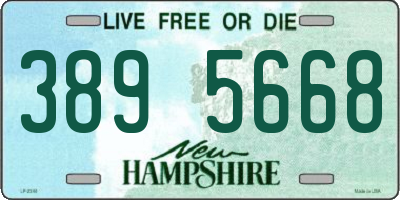 NH license plate 3895668