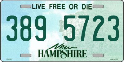 NH license plate 3895723