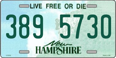 NH license plate 3895730