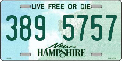 NH license plate 3895757