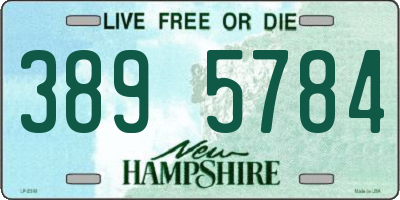 NH license plate 3895784