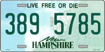 NH license plate 3895785