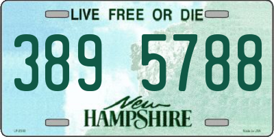 NH license plate 3895788