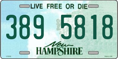 NH license plate 3895818