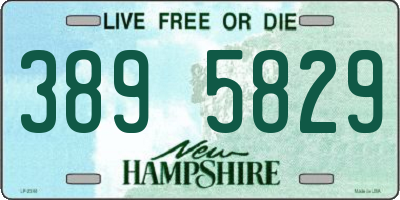 NH license plate 3895829