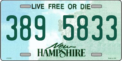 NH license plate 3895833
