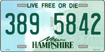 NH license plate 3895842