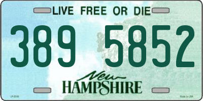 NH license plate 3895852