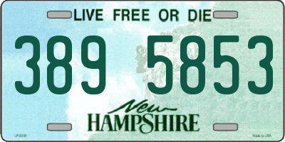 NH license plate 3895853