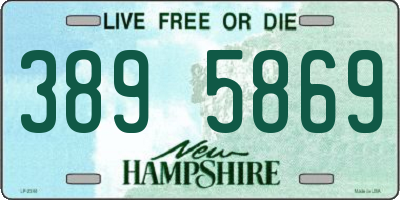 NH license plate 3895869