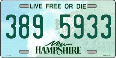 NH license plate 3895933