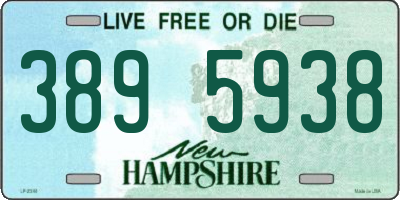 NH license plate 3895938