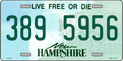 NH license plate 3895956