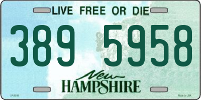 NH license plate 3895958