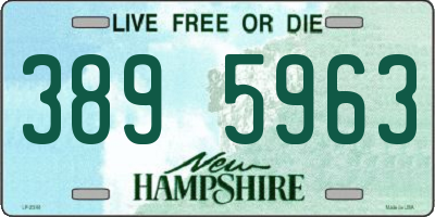 NH license plate 3895963