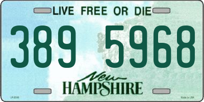 NH license plate 3895968