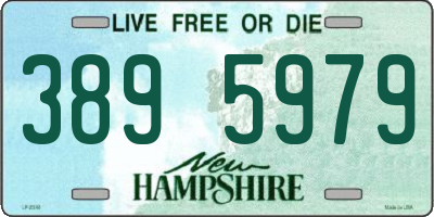 NH license plate 3895979