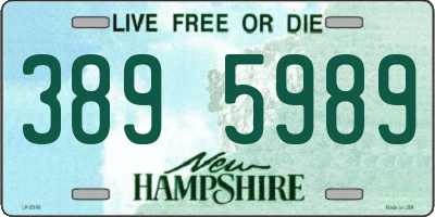 NH license plate 3895989