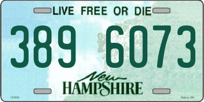 NH license plate 3896073