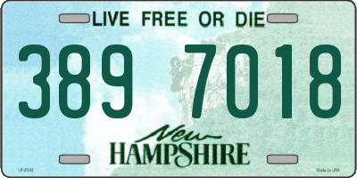 NH license plate 3897018