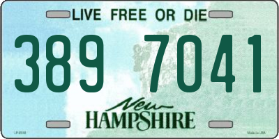 NH license plate 3897041