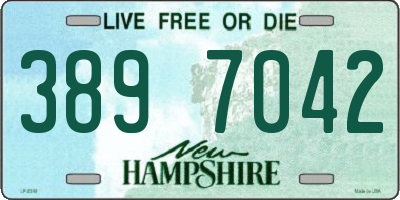 NH license plate 3897042