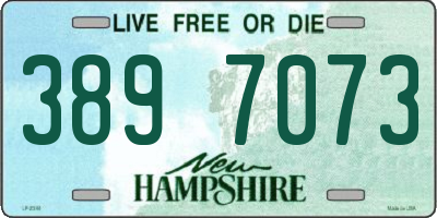 NH license plate 3897073