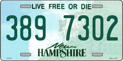 NH license plate 3897302