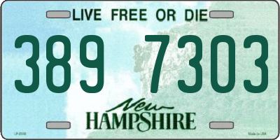 NH license plate 3897303