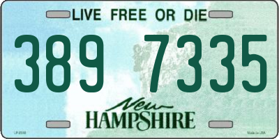 NH license plate 3897335