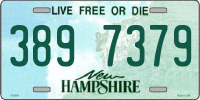 NH license plate 3897379