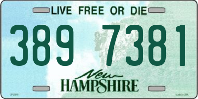NH license plate 3897381