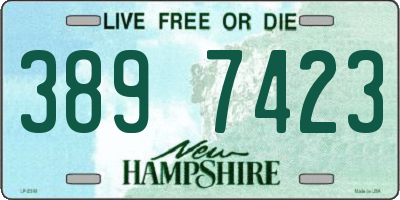 NH license plate 3897423