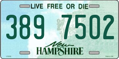 NH license plate 3897502