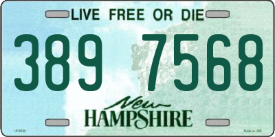 NH license plate 3897568
