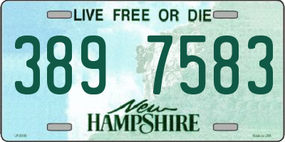 NH license plate 3897583