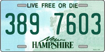NH license plate 3897603