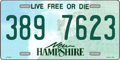 NH license plate 3897623