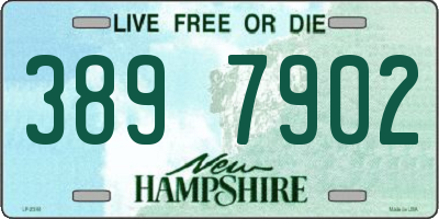 NH license plate 3897902