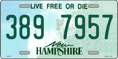 NH license plate 3897957