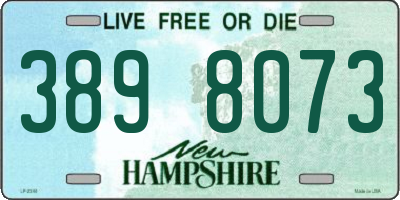 NH license plate 3898073