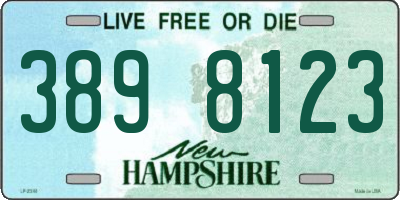 NH license plate 3898123