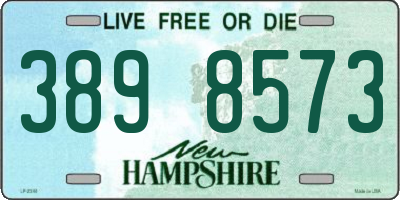 NH license plate 3898573