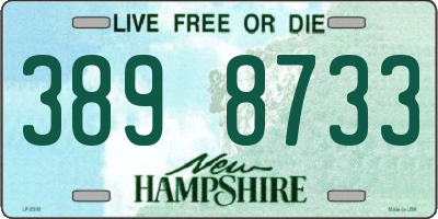 NH license plate 3898733
