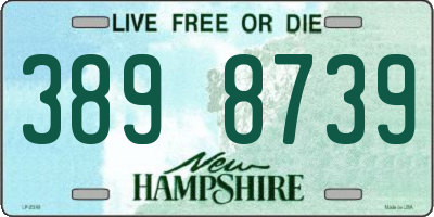 NH license plate 3898739