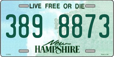 NH license plate 3898873