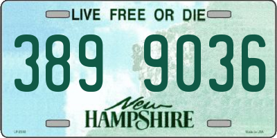 NH license plate 3899036