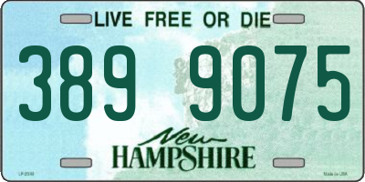 NH license plate 3899075