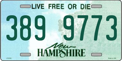 NH license plate 3899773